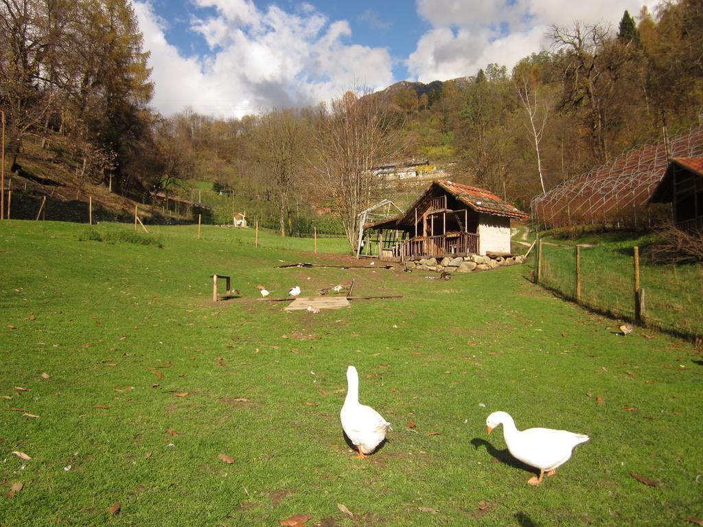 B&B Al Larice Strigno Екстер'єр фото