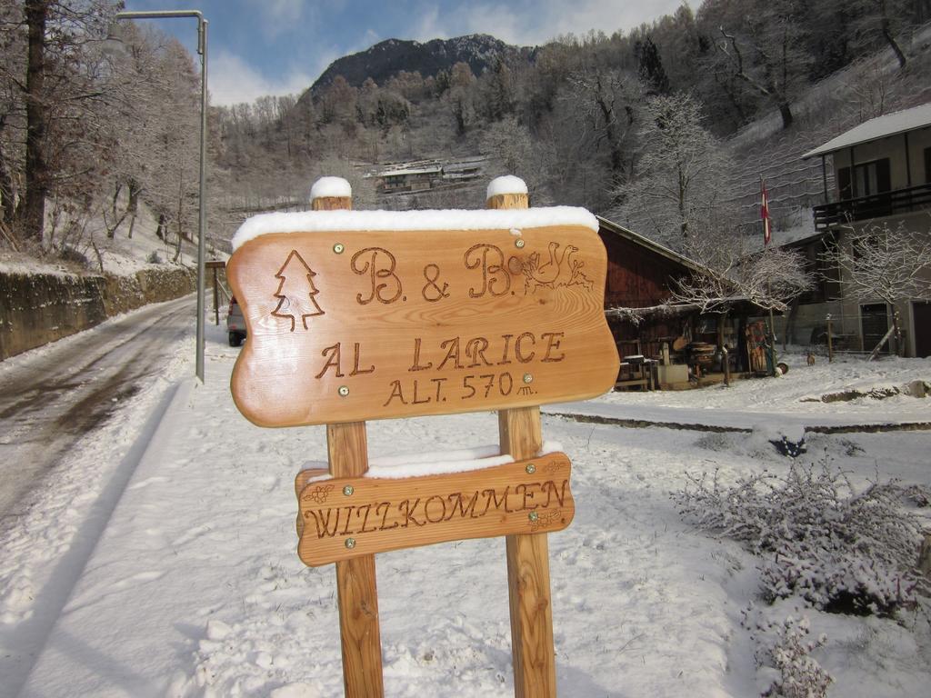 B&B Al Larice Strigno Екстер'єр фото